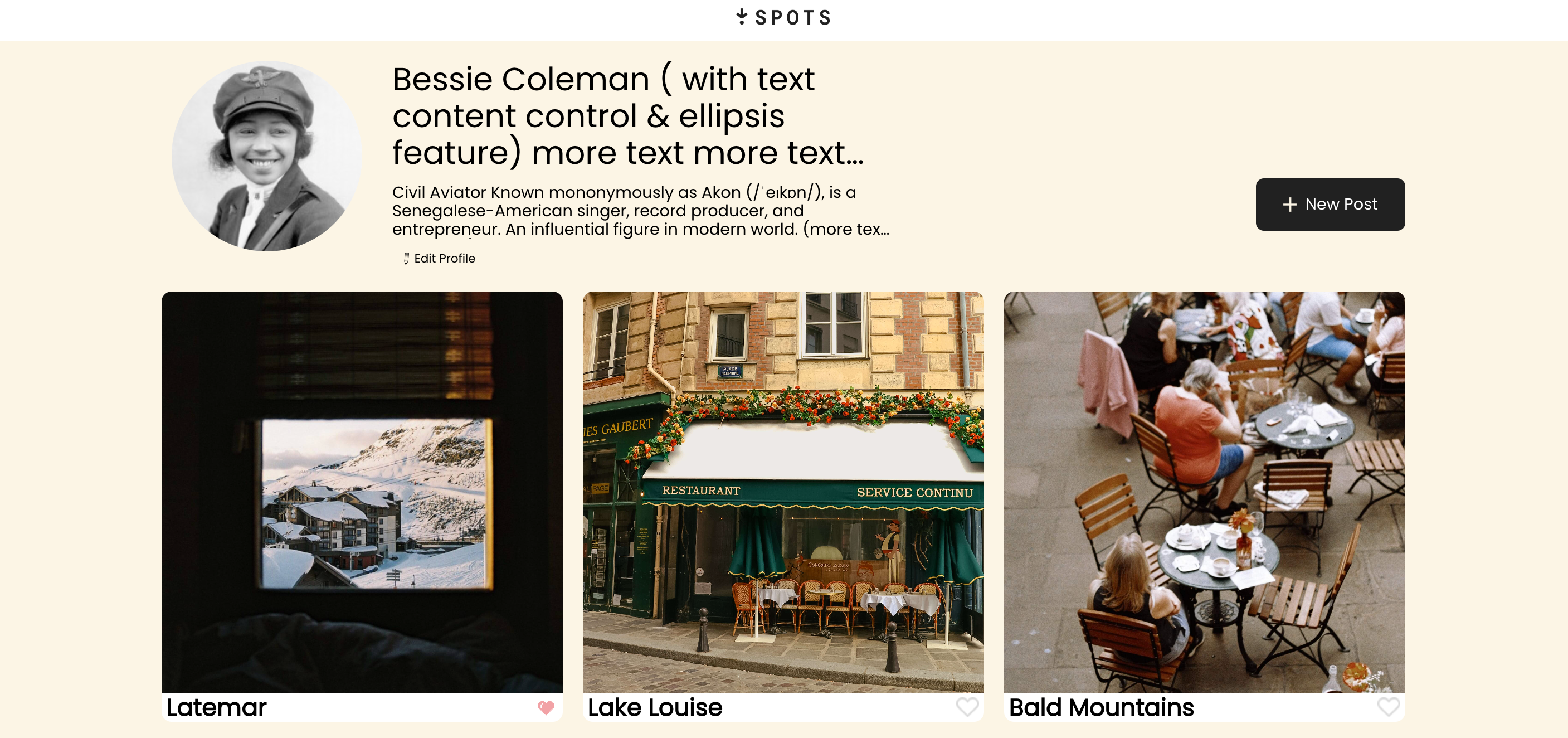 Spots-Social Media image sharing website project.